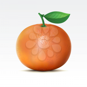 Royalty Free Clipart Image of a Grapefruit