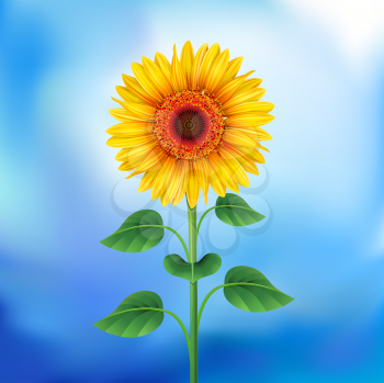 Royalty Free Clipart Image of a Sunflower Background