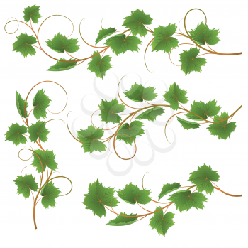 Royalty Free Clipart Image of a Leaves