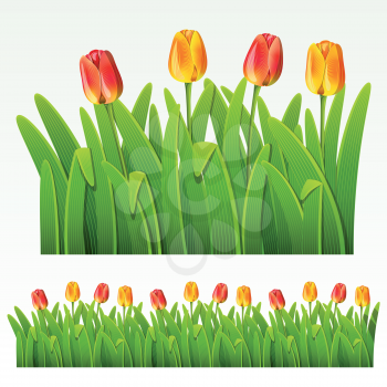Royalty Free Clipart Image of Tulip and Grass Borders