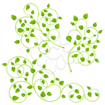 Collection of green branches on a white background