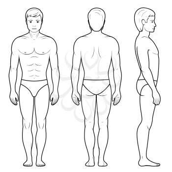 Vector illustration of male figure - front, back and side view in outline