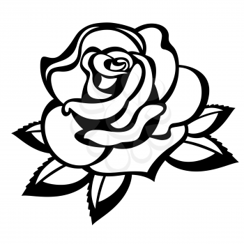 Rose on a white background. Black and white