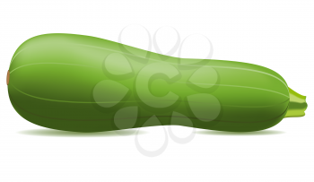 Royalty Free Clipart Image of a Zucchinis