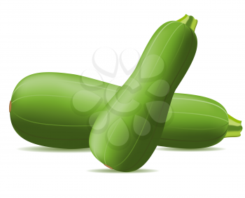 Royalty Free Clipart Image of Two Zucchinis