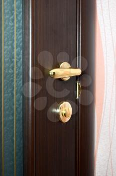 chrome handle on wooden door