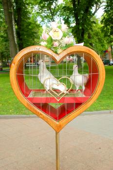 two pigeons and heart in nature