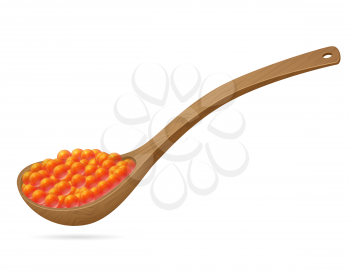 red caviar in a wooden spoon vector illustration isolated on white background