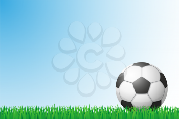 soccer grass field vector illustration isolated on background