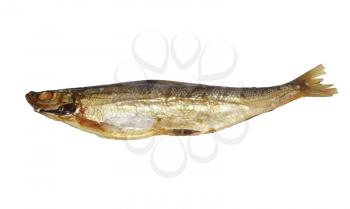Smoked whitefish from the Bavarian Chiemsee 