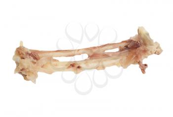 picked bone of a chicken on a white background