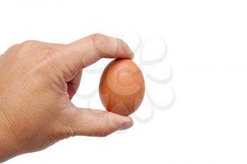 well shaped men's hand with an egg isolated over white 