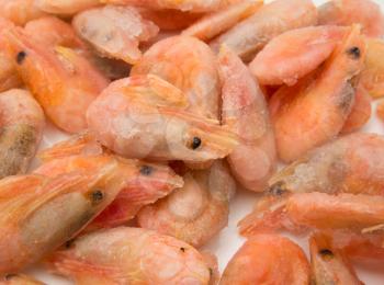 close up of frozen shrimps 