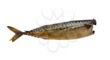 Smoked mackerel on a white background 