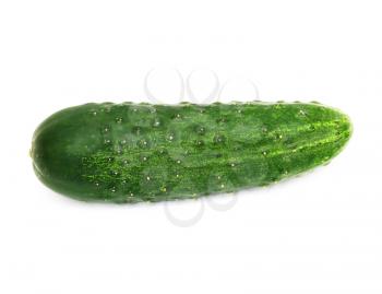 green cucumber, isolated on white background 