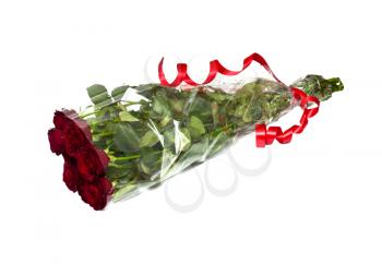 Beautiful red roses on a white background  