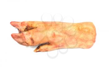 pork leg on white background 