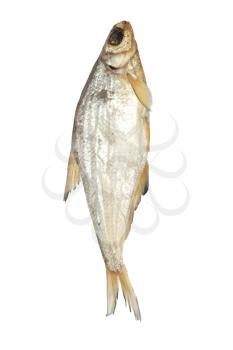 bream isolated on white background 