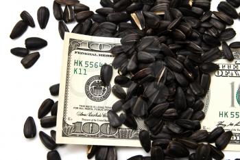 dollars in the black seeds