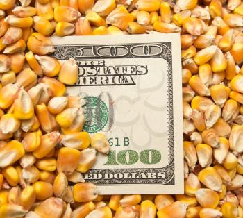 dollars in corn