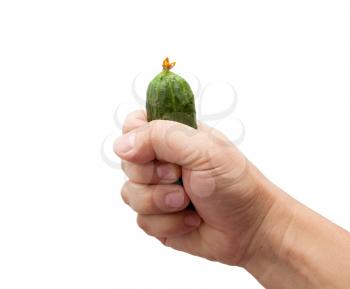 Cucumber in a hand on a white background