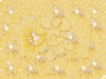 background of yellow lemon
