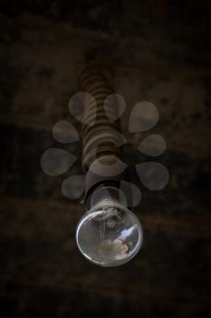 Bulb on a spring wire