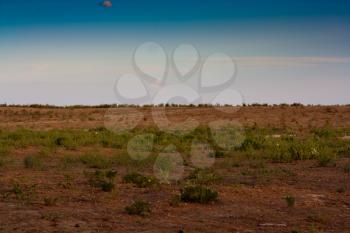 steppe in the background