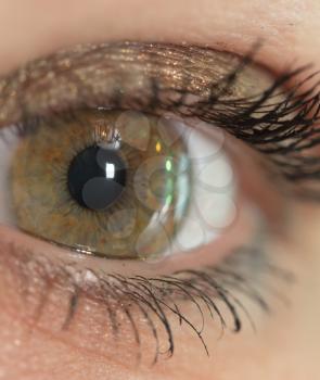 Macro image of human eye