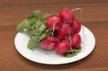red radish in a bowl on a wooden background