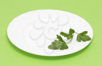 parsley on a plate on a green background