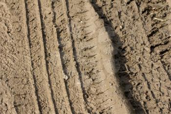 track from a car tire on the clay