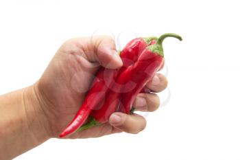 red chili peppers in hand on white background