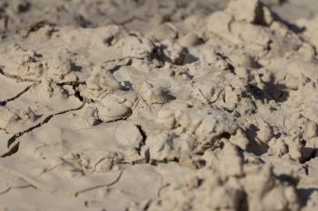 abstract background of dried soil