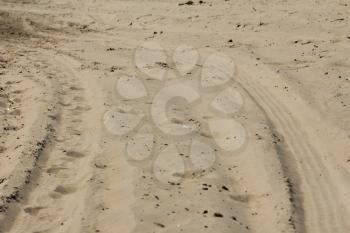 footprints in the sand on cars