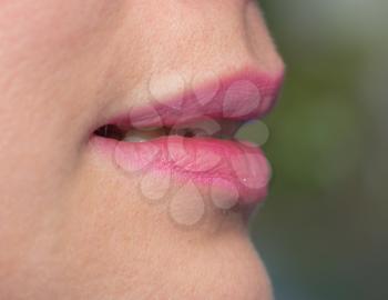 female lips. macro