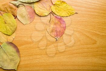 autumn leaves on a wooden background