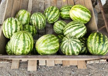 Watermelons are sold in cars on the road .