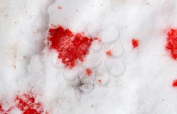 red blood on the snow