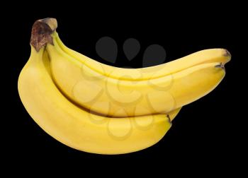 Bananas on a black background