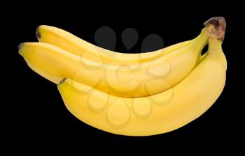 Bananas on a black background