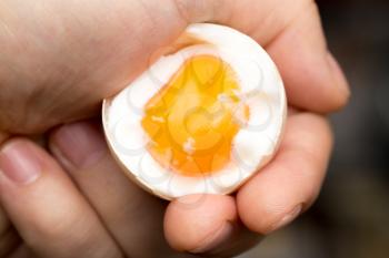 egg with yolk in a hand