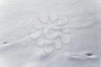 abstract background of snow