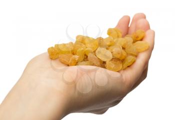 golden raisins in hand on white background