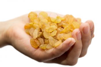 golden raisins in hand on white background