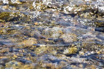 Stones in water Nature