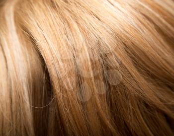 background of women's hair