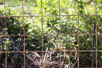 nature of the fence