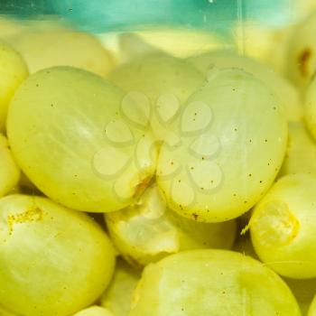 green grapes in a compote. close-up