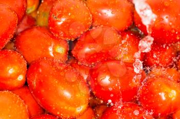 Fresh tomatoes in water